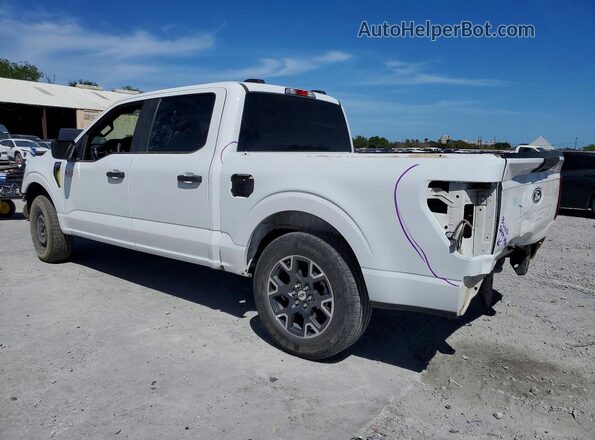 1FTEW2KP8RKD58443 2024 FORD F150 Белый Задняя левая четверть