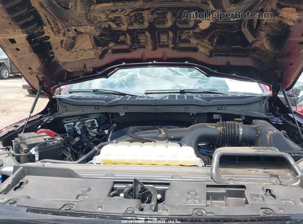 1FTEW2KPXRKF37924 2024 FORD F150 Red Vista trasera