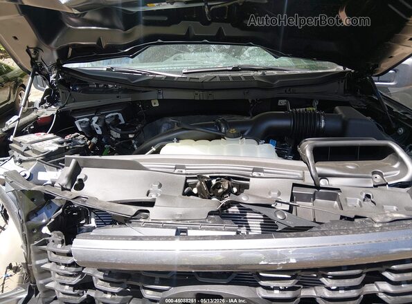 1FTEW2LP1TKD81746 2026 FORD F150 Gray Widok z tyłu