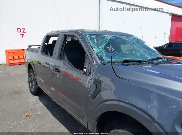 1FTEW2LP8RKE58301 2024 FORD F150 Gray Առջևի վահանակի տեսք