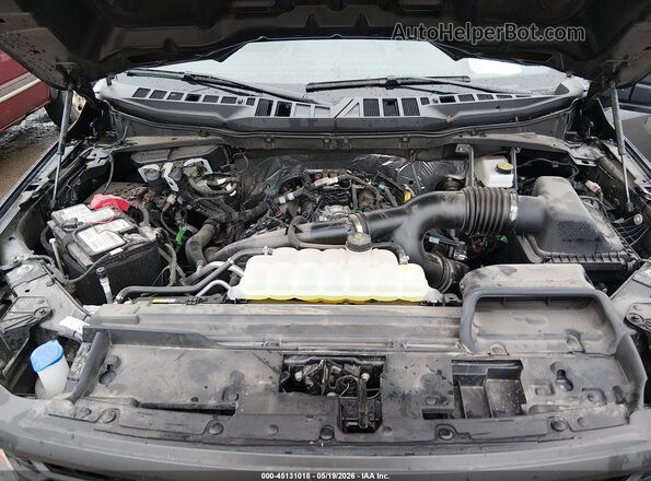 1FTEW2LP9SKE16550 2025 FORD F150 Gray Widok z tyłu