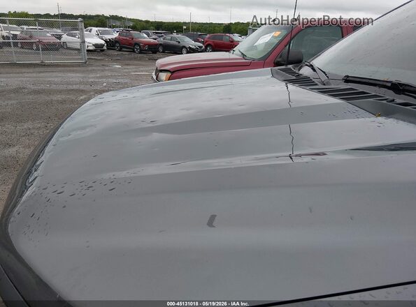 1FTEW2LP9SKE16550 2025 FORD F150 Gray Widok z przodu