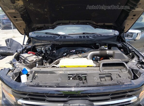 1FTEW3KP3SKF41955 2025 FORD F150 Gray 