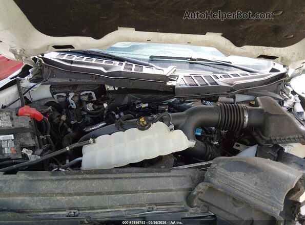 1FTEW3LP6RKF57477 2024 FORD F150 Белый Вид сзади