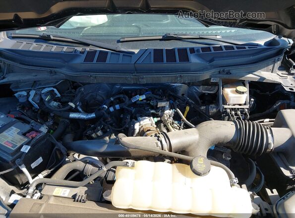 1FTEW3LP8RKD25625 2024 FORD F150 Серый Вид сзади