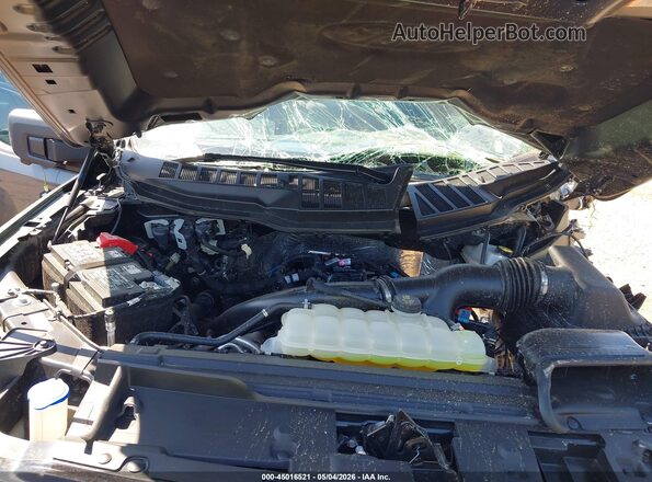 1FTEW3LP9SFC10367 2025 FORD F150 Gray უკანა ხედი