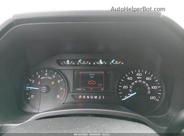 1FTEX1CBXKKE14639 2019 FORD F150 Gray უკანა სავარძლების ხედი