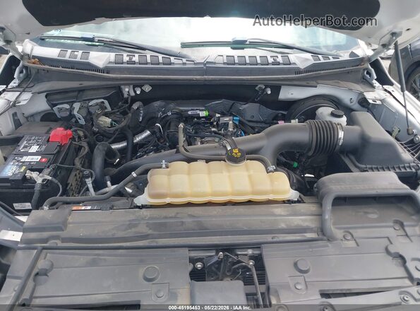 1FTEX1CP1LKD10425 2020 FORD F150 White Вид ззаду