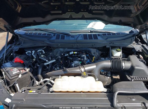 1FTEX1CP8MKD58442 2021 FORD F150 Gray Rear view