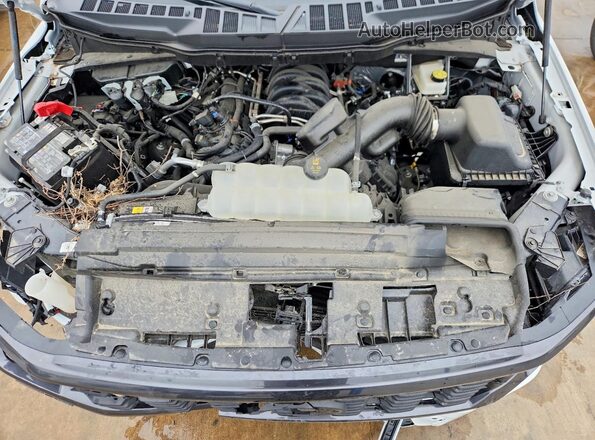 1FTEX2K54SKD89335 2025 FORD F150 White 