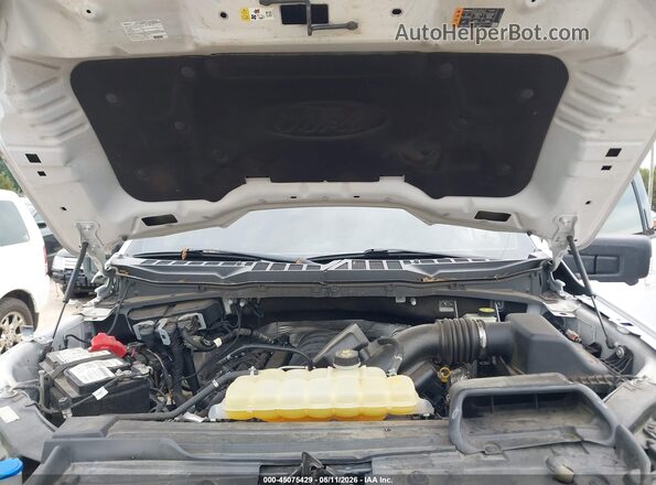 1FTFW1E52MFC82048 2021 FORD F150 White Հետևի տեսք