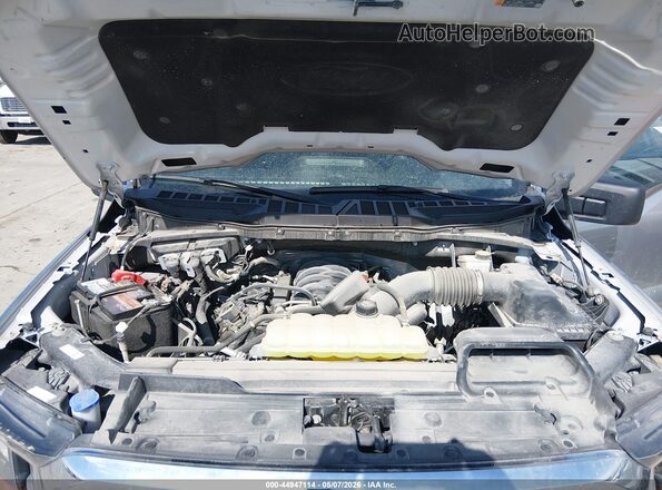1FTFW1E53PFB24628 2023 FORD F150 Silver 