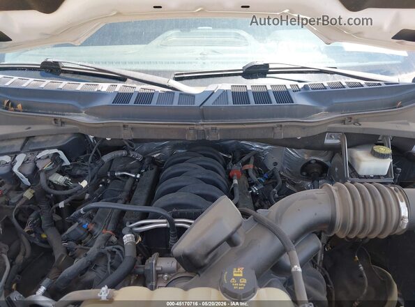 1FTFW1E55MFB60221 2021 FORD F150 White Rear view