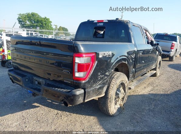 1FTFW1E81PFB61185 2023 FORD F150 Black Trasero derecho