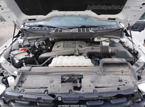 1FTFW1E82PKD03440 2023 FORD F150 White Widok z tyłu