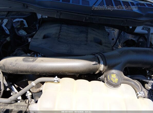 1FTFW1E86MFB06467 2021 FORD F150 White Вид ззаду
