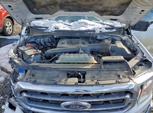 1FTFW1E86MFC72665 2021 FORD F150 White 