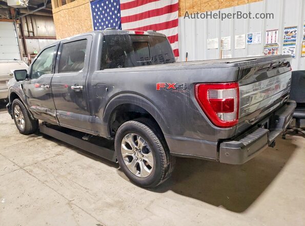 1FTFW1E86PFB37206 2023 FORD F150 Gray 