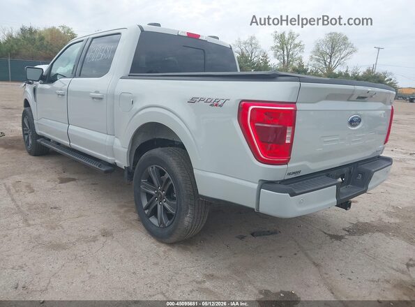 1FTFW1E89PKD63280 2023 FORD F150 Gray Հետևի ձախ