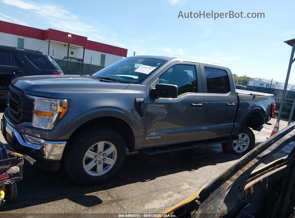 1FTFW1ED0MFB13086 2021 FORD F150 Gray Панорамний вид салону 360°