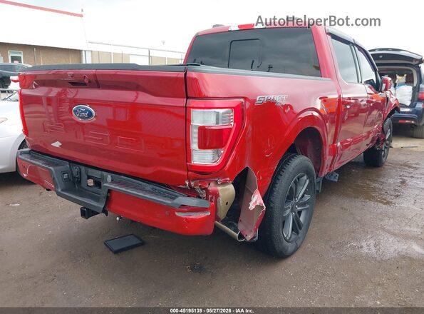 1FTFW1ED0PFB48201 2023 FORD F150 Red Հետևի աջ