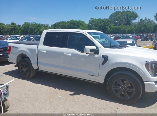 1FTFW1ED1PFC96342 2023 FORD F150 White Widok wnętrza z tyłu