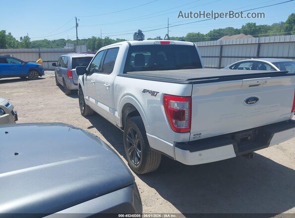 1FTFW1ED1PFC96342 2023 FORD F150 White Tył lewy