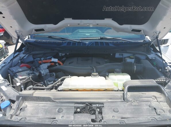1FTFW1ED1PFC96342 2023 FORD F150 White Widok z tyłu