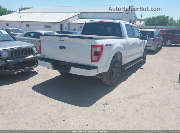 1FTFW1ED1PFC96342 2023 FORD F150 White Tył prawy