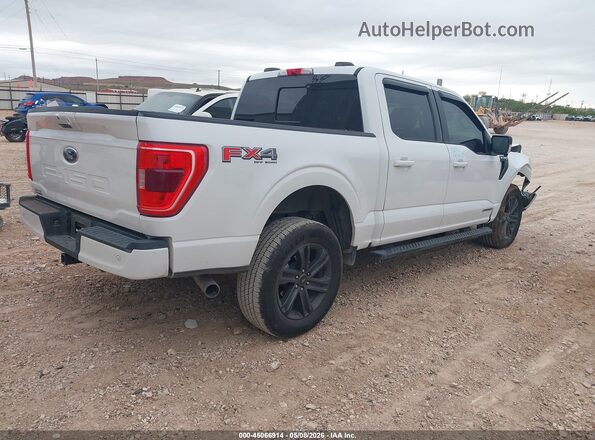 1FTFW1ED3MFB08058 2021 FORD F150 White Rear right