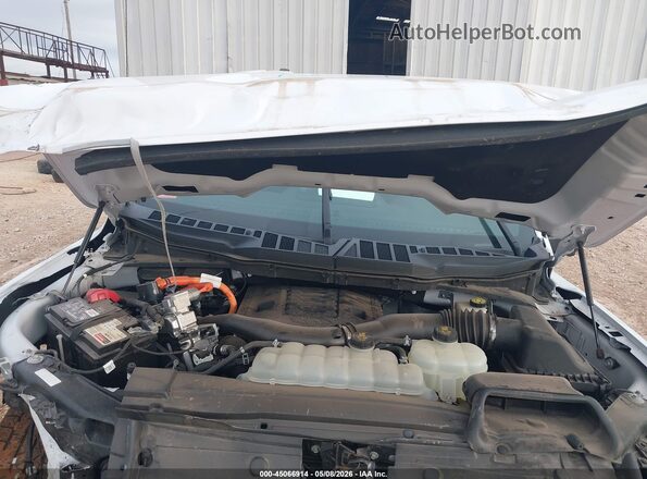 1FTFW1ED3MFB08058 2021 FORD F150 White Rear view