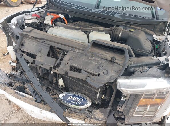 1FTFW1ED3MFB08058 2021 FORD F150 White Rear interior view