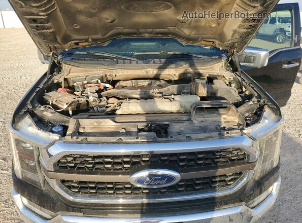 1FTFW1ED3MFB53808 2021 FORD F150 Black 
