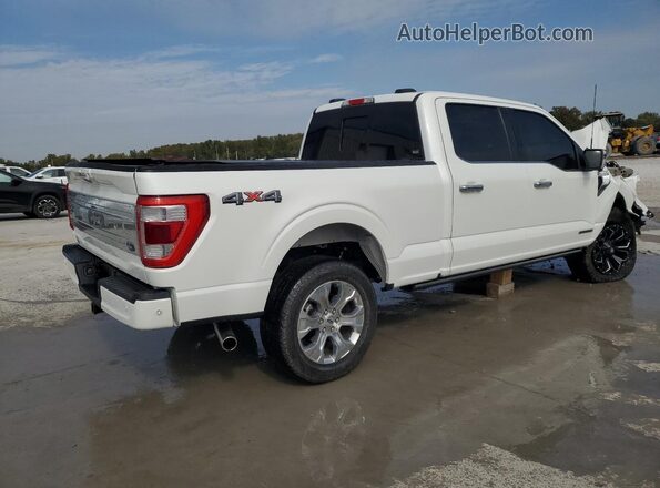 1FTFW1ED4PFB01737 2023 FORD F150 White 
