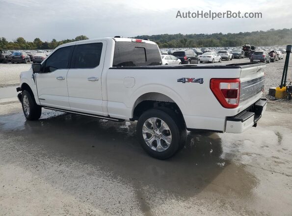 1FTFW1ED4PFB01737 2023 FORD F150 White 