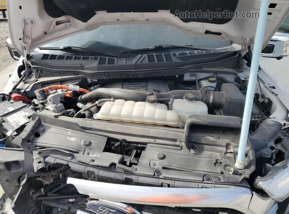 1FTFW1ED4PFB01737 2023 FORD F150 White 