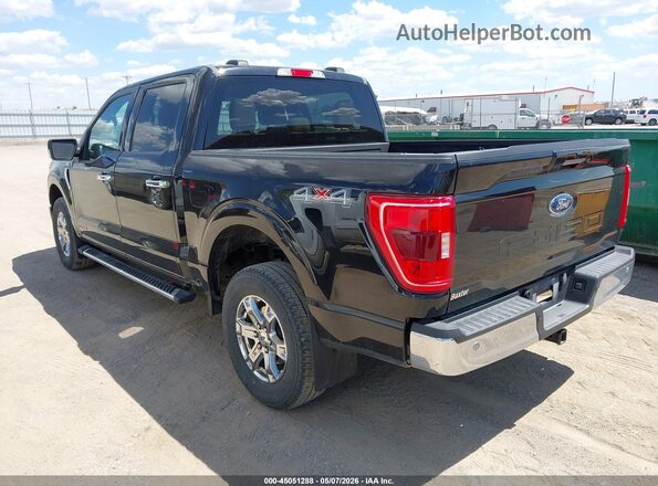 1FTFW1ED4PFC81057 2023 FORD F150 Черный Задняя левая четверть
