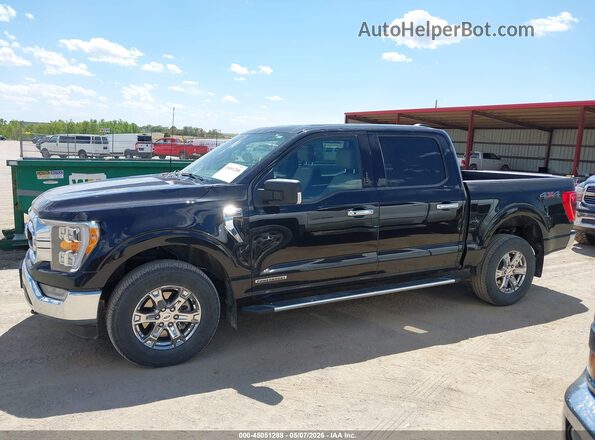 1FTFW1ED4PFC81057 2023 FORD F150 Черный Панорамный вид салона 360°
