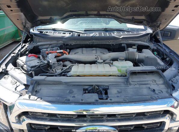 1FTFW1ED4PFC81057 2023 FORD F150 Черный Вид сзади