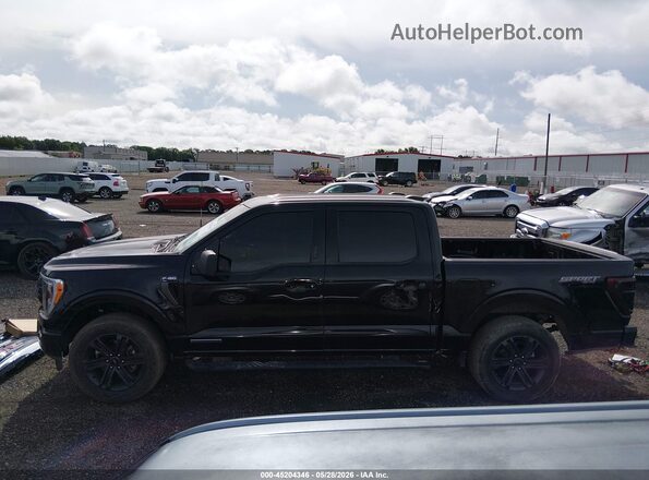 1FTFW1ED6PFD08498 2023 FORD F150 Black 