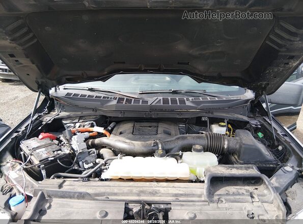 1FTFW1ED6PFD08498 2023 FORD F150 Black Vista trasera