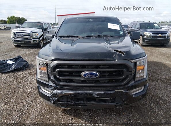 1FTFW1ED6PFD08498 2023 FORD F150 Black Vista interior trasera