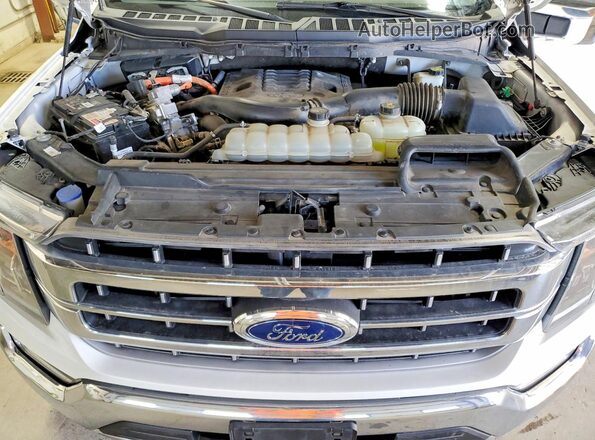 1FTFW1ED9MFC06852 2021 FORD F150 Белый Вид задней части салона