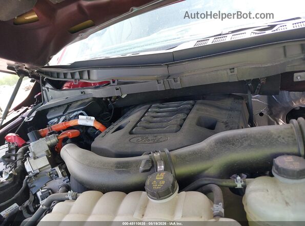 1FTFW1EDXNFB54522 2022 FORD F150 Red Widok z tyłu