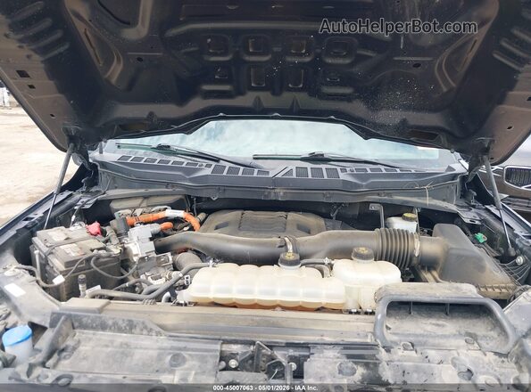 1FTFW1EDXPFB41255 2023 FORD F150 Dark Blue Вид сзади