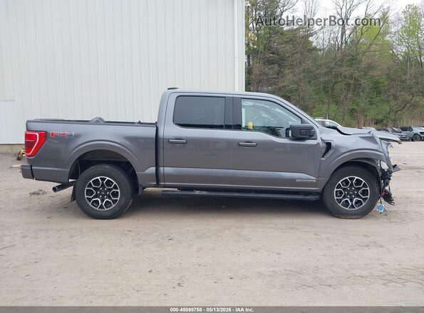 1FTFW1EDXPFC50623 2023 FORD F150 Gray Панорамний вид салону 360°