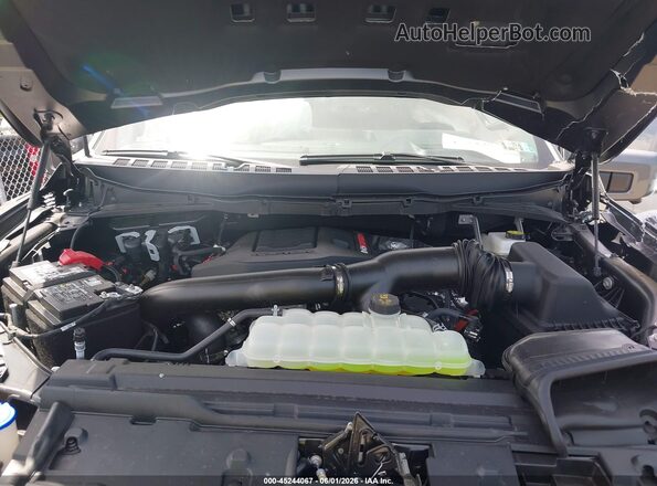 1FTFW1RG9TFA55336 2026 FORD F150 Gray Rear view
