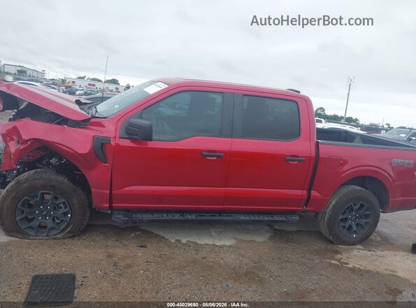 1FTFW2L55RFB11570 2024 FORD F150 Red Սալոնի 360 աստիճան տեսք