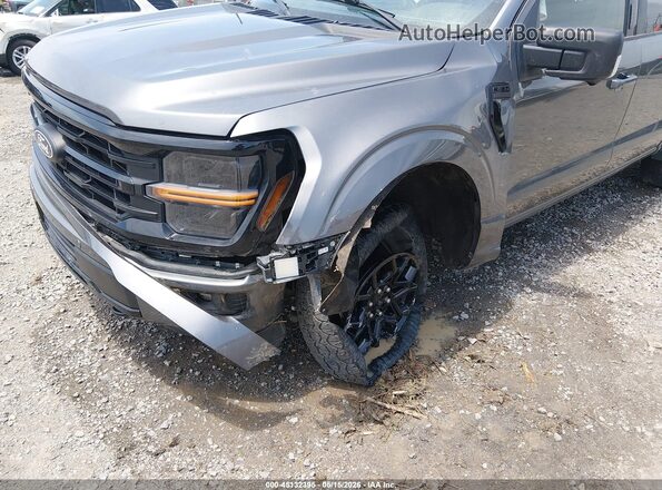 1FTFW3L54RKD59192 2024 FORD F150 Gray Widok z przodu