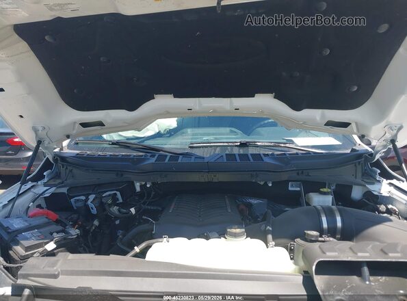 1FTFW3L56RKF38768 2024 FORD F150 White Widok z tyłu